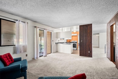 11506 Adams St, Thornton, CO 80233 - photo 7