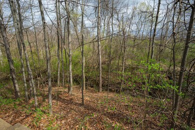 Wooded Ravine Lot