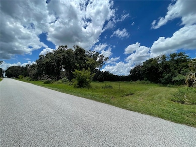 26831 Bloomfield Ave, Yalaha, FL 34797 - photo 4