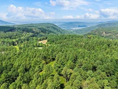 0 Birds Eye Way unit 1519255, Guild, TN 37340 - photo 5