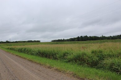 TBD 310th St, Little Elk Township, MN 56438 - photo 7