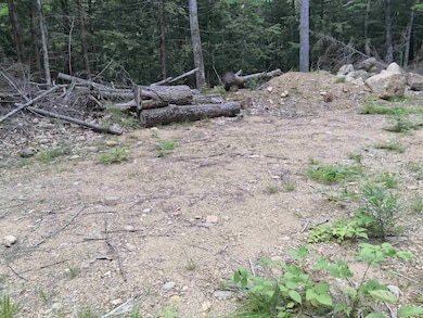 Cleared and Leveled lot