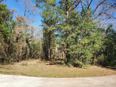 22502 Rosehurst Dr, Tomball, TX 77377 - photo 6