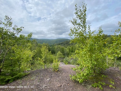 2392 Sands Creek Rd, Hancock, NY 13783 - photo 3