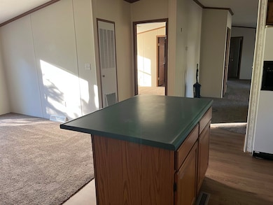 10314 Baker Dr, Clio, MI 48420 - photo 5