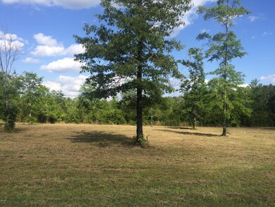 9.3 Acres R Moran Rd, McHenry, MS 39561 - photo 5