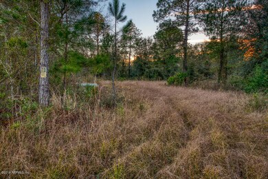 0 Haylie Ln unit 976876, Callahan, FL 32011 - photo 3