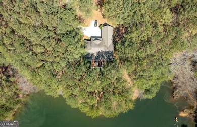 404 Golden Delicious Rd, Clarkesville, GA 30523 - photo 6