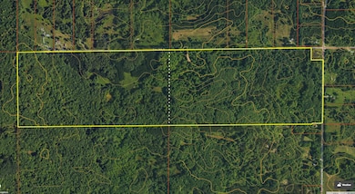 0 S Deer Lake Rd, Reed City, MI 49677 - photo 2