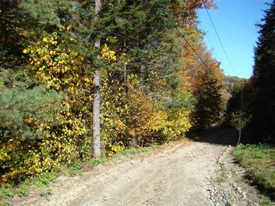 4 Ghastly Job Way unit 4, Wilmington, VT 05363 - photo 2