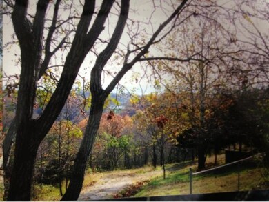 Tbd Shamrock Way, Kimberling City, MO 65686 - photo 6