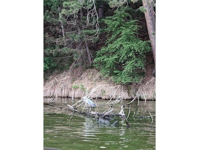 Lot 26 10th Ave, Chetek, WI 54728 - photo 2