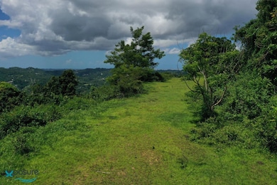 001 Carr 942, Gurabo, PR 00778 - photo 3