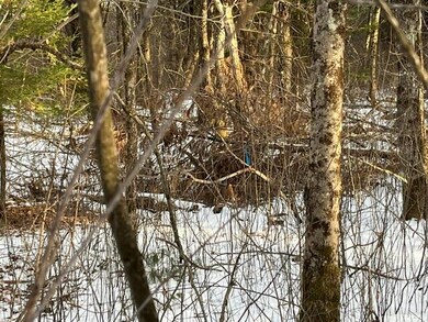 Lots 1 & 2 Eden Farm Rd, Pownal, ME 04069 - photo 5