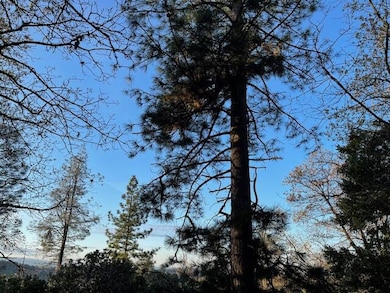 160 Acres Donkey Mine and Madison, Oak Run, CA 96069 - photo 7