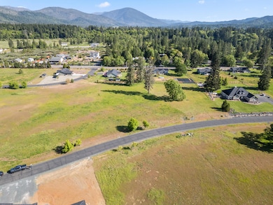 13_564 e forks cir - drone - 1