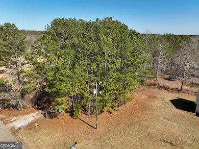 435 Moccasin Gap Rd, Jackson, GA 30233 - photo 7