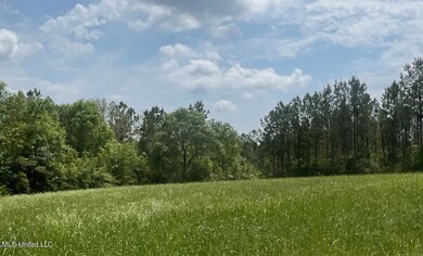 Field 2
