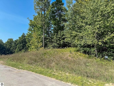 1955 N Blue Water Ct unit 2, Suttons Bay, MI 49682 - photo 6