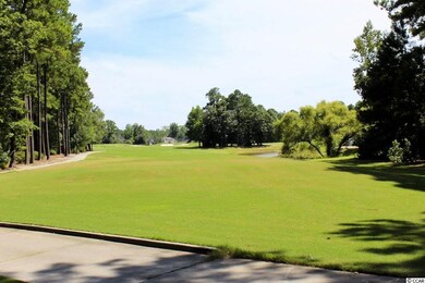 524 Whiddy Loop, Conway, SC 29526 - photo 6