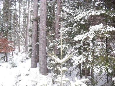 ON Cth Cc, Tomahawk, WI 54487 - photo 6