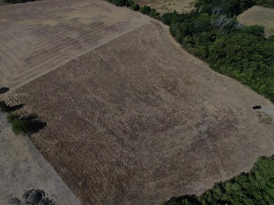 TBD Harwell Lake Rd, Weatherford, TX 76088 - photo 7