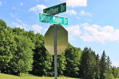 75 Gauthier Dr, Swanton, VT 05488 - photo 4