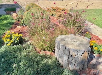 2211 N Elizabeth St, Pueblo, CO 81003 - photo 3