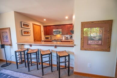 4E Trailside Village Way unit H21, Dover, VT 05356 - photo 5