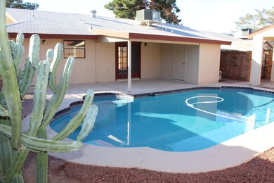 Pool & Patio