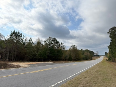 Sc Hwy 39 unit LotWP001, Williston, SC 29853 - photo 4