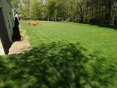 Yard/Garden.