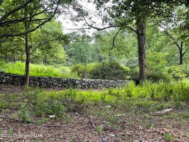 1369 Mutton Hollow Rd, Stroudsburg, PA 18360 - photo 4