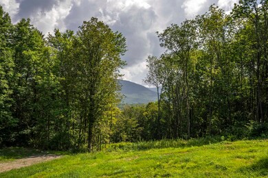 0 Foote Rd unit 5053891, Dorset, VT 05251 - photo 5