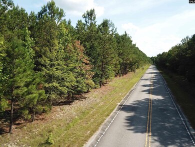 5051 Spring Hill Rd, Rembert, SC 29128 - photo 6