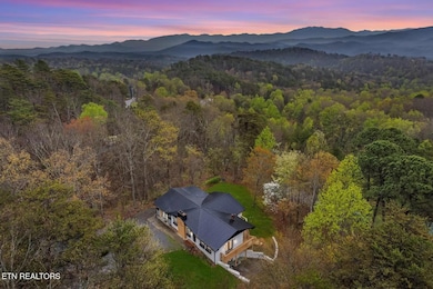 2069 Bluff Mountain Rd, Sevierville, TN 37876 - photo 3