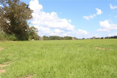 Lot 11 Zack Magee Rd, Franklinton, LA 70438 - photo 2