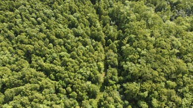 TBD Vicknair Rd, Maurepas, LA 70449 - photo 5