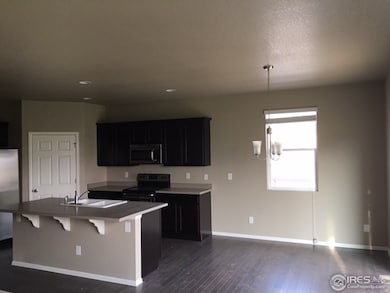 6805 Covenant Ct, Timnath, CO 80547 - photo 6