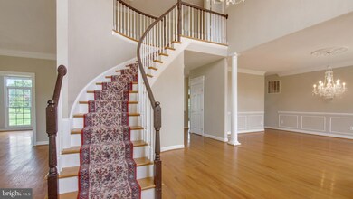 11100 Tommye Ln, Reston, VA 20194 - photo 7