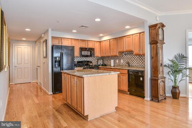 Elan East Market Condominiums unit 616, Fairfax, VA 22033 - photo 6