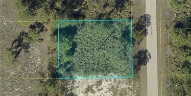 840 Naples Ave S, Lehigh Acres, FL 33974 - photo 6