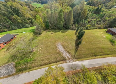 0 Andy Anderson Rd unit RTC3017364, Lynchburg, TN 37352 - photo 6