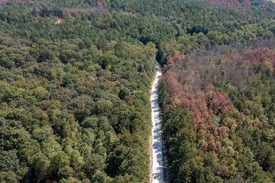 181 Riversong Rd unit 55, Carrollton, GA 30117 - photo 3