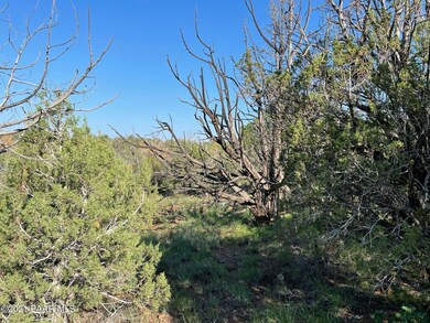 1422 N Murdo Way, Ash Fork, AZ 86320 - photo 7