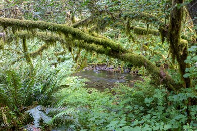 Creek