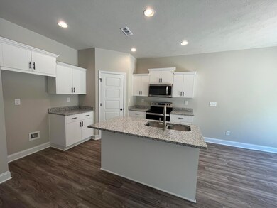 4179 Fringetree Loop, Aiken, SC 29803 - photo 5