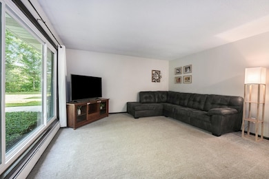 10724 Eastern Ave SE, Wayland, MI 49348 - photo 7