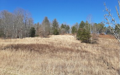 Additional View