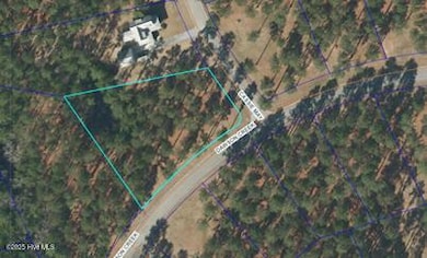 156 Dawson Creek Blvd, Oriental, NC 28571 - photo 2